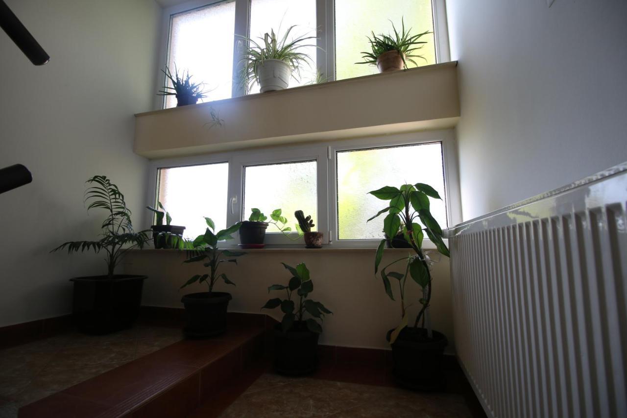 Hostel Teresianum Алексинац Екстериор снимка